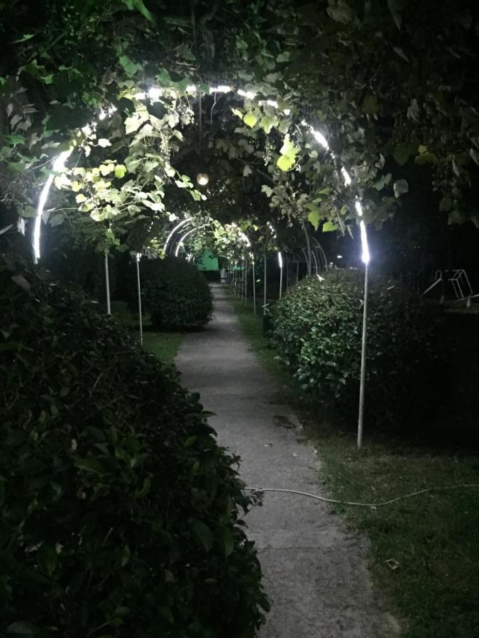 ホテルBaza Otdyha Miya グダウタ エクステリア 写真